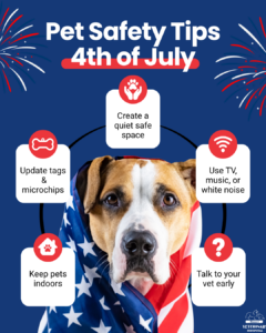4th of July pet safety tips infographic from Newport Veterinary Hospital in Newport, Oregon